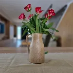 Villa Atma *
